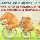 ���� ����, �����, 49 ��� - ��������� 28 �������� 2015 � ������ ������ ��������