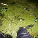 ���� Kokos, �������, 45 ��� - ��������� 25 ������� 2015 � ������ ���� ����������