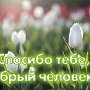 ���� ������, ��������, 56 ��� - ��������� 29 ������� 2015 � ������ �������� ��������