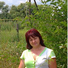 , 59, 
