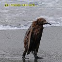���� ������, ���������, 55 ��� - ��������� 23 ������ 2015 � ������ ���� ����������