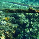  , , 59  -  16  2015    Ż