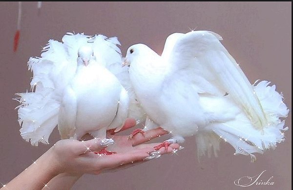 ,   ,       !.-  !   ,  ...