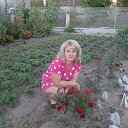 ���� �������, �������� - ��������� 29 �������� 2015 � ������ ���� ����������