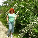 ���� �������, ���������, 62 ���� - ��������� 23 ������ 2015