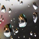 ������� 2015 �� ������� �����ܻ