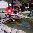 ���� ������ ��������, ����������, 53 ���� - ��������� 30 �������� 2015 � ������ ���� ����������