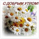 ���� ���, ��������� - ��������� 7 ����� 2016 � ������ ������ ��������