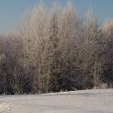 ���� ������, �������� - ��������� 10 ������� 2015 � ������ �������� � ������