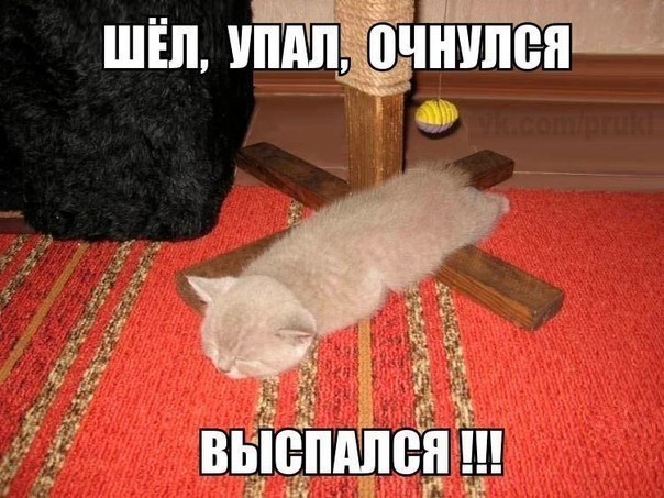    :D - 20  2016  01:36