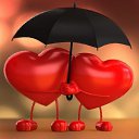 ���� ��, �������, 36 ��� - ��������� 14 ������� 2016 � ������ ������ ��������