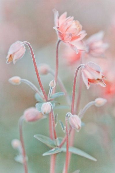 �� ����� �� ��� ����, ����� ��������� ���-�� ��������. - 2