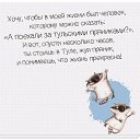 ���� �����, �����, 60 ��� - ��������� 6 ������� 2015 � ������ ������ ��������