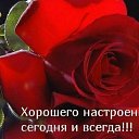 ���� ����, ������, 54 ���� - ��������� 9 ������� 2016 � ������ �������� ��������