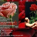 ���� ������, ������� - ��������� 26 ������� 2015 � ������ ������ ��������