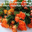 ���� �����, ��������, 73 ���� - ��������� 24 ������� 2016 � ������ ������ ��������