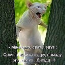 ���� ���k������, �����������, 38 ��� - ��������� 9 ����� 2016 � ������ ���� ����������