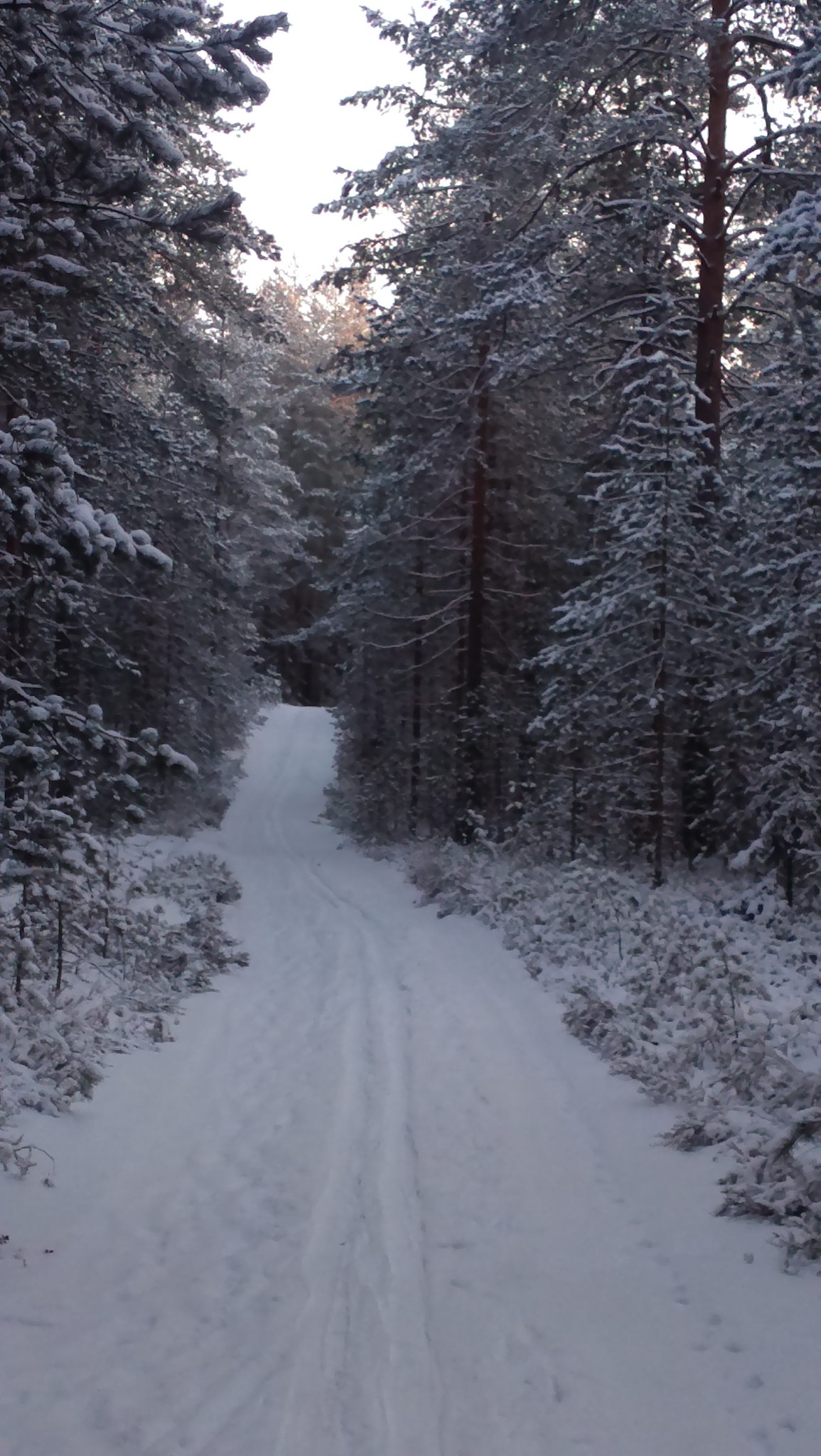   - 11  2016  02:10 - 6