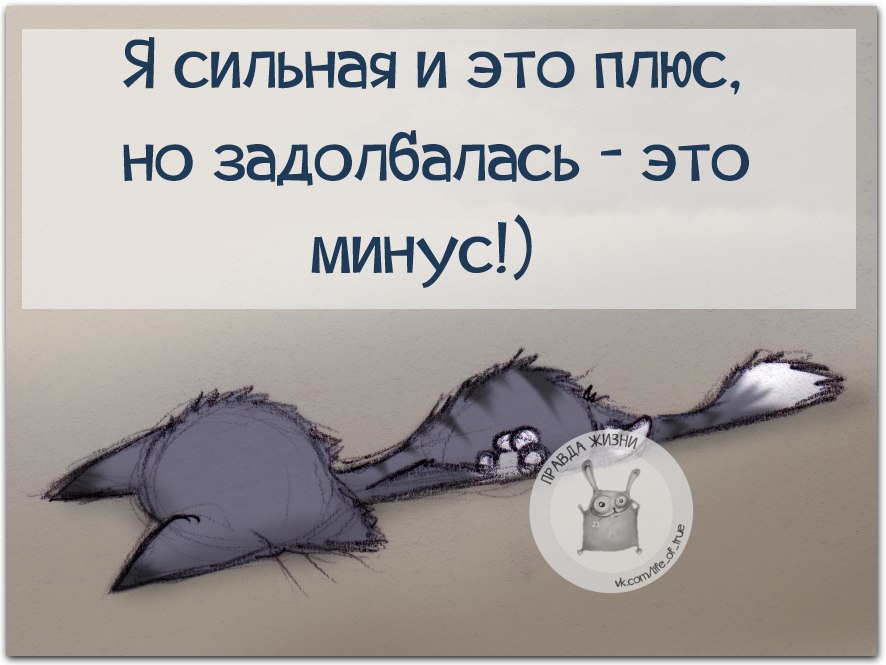 ������ ����� - 2 ����� 2016 � 20:44