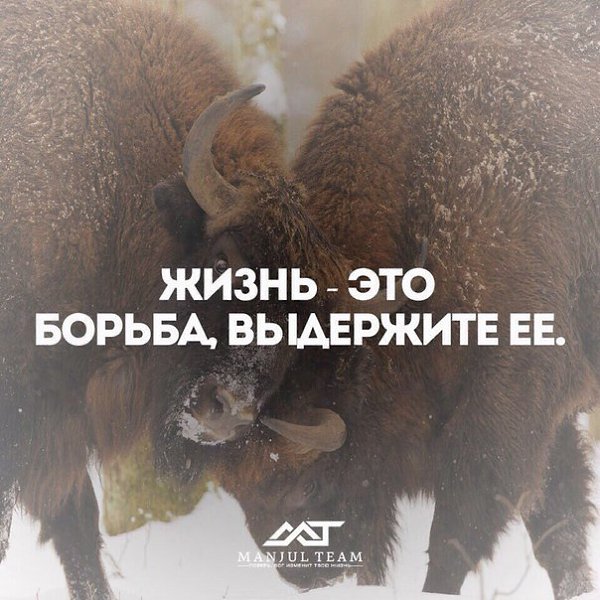 Обои 128x160 пикселей. И это дом борется за звание дома высокой культуры. Борьба за жизнь картинки. Бой с самим собой. Цитаты про борьбу.