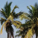 ���� �����, ������ - ��������� 31 ������ 2016 � ������ ���� ����������