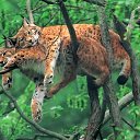 ���� �����, ���� - ��������� 25 ������ 2015 � ������ ������ ��������