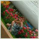 ���� ����, ���������, 46 ��� - ��������� 30 ������� 2015 � ������ ���� ����������