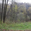 ���� �����, ������ �������� - ��������� 18 ������� 2015 � ������ ������� 2015 �.�