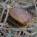 ���� �, �������� - ��������� 12 ������� 2015 � ������ ���������