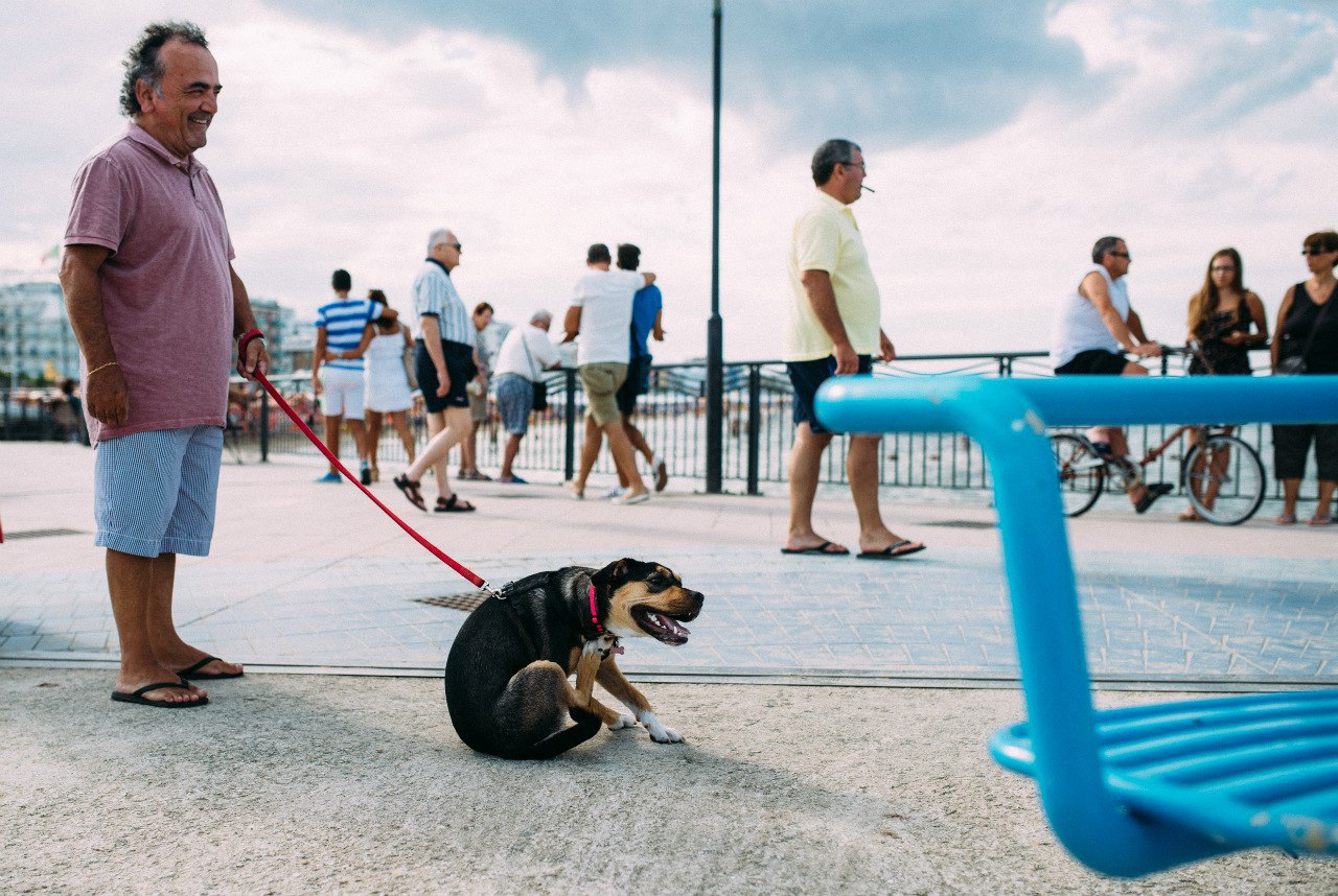 ��������� ����� Man&Dog - 3