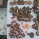  , , 46  -  8  2016    2015 