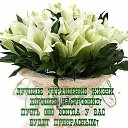 ���� Ani, ������ - ��������� 20 ������ 2015 � ������ ������...�
