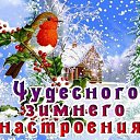 ���� �������, ������, 54 ���� - ��������� 1 ������� 2015 � ������ �������� ��������