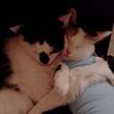 ����� � �������� � �������� ������� �� ������� ������ ��������
