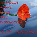 ���� **�������**, ������ - ��������� 26 ������� 2016 � ������ ������ ��������