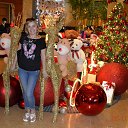 ���� ����, �����, 58 ��� - ��������� 21 ������� 2015 � ������ ���� ����������