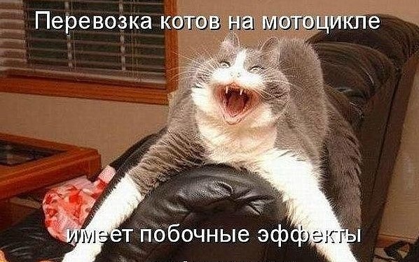 �������� �������� - 2 ������ 2016 � 17:04