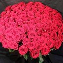 ���� *Ni��*, ������ - ��������� 26 ������ 2016 � ������ ���� ����������