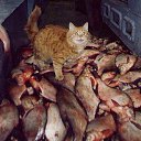 ���� �����, ������ - ��������� 9 ������� 2016 � ������ ������ ��������