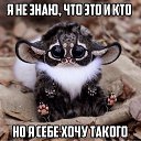 ���� ����, ������ �����, 46 ��� - ��������� 15 ������� 2015 � ������ ������ ��������