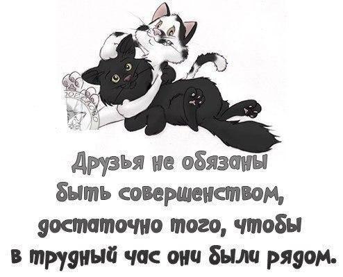 ...����� ������ ������ ������ ���� ����� :)