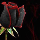 ���� Igor, �������, 48 ��� - ��������� 27 ������� 2016 � ������ ���� ����������