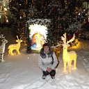 ���� ������, ������� - ��������� 27 ������� 2016 � ������ ���� ����������