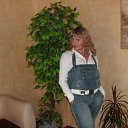 ���� �����, �������� - ��������� 27 �������� 2015 � ������ ���� ����������