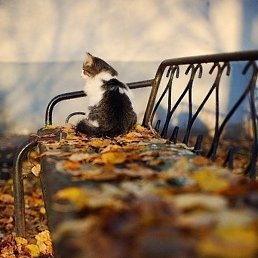 ���� �������, ������, 44 ���� - ��������� 18 ������ 2016