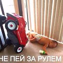 ���� ����, ��������, 41 ��� - ��������� 13 ������� 2016 � ������ ������ ��������
