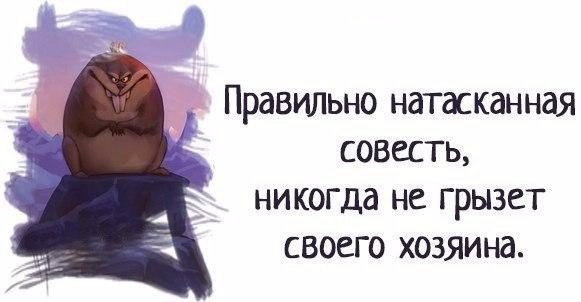   - 29  2015  03:02