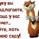 ���� ����, ������ �������� - ��������� 6 ������ 2015 � ������ ������ ��������
