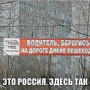 ���� ������, �������� - ��������� 29 �������� 2015 � ������ ���� ����������