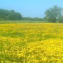 ���� ������, ��������, 50 ��� - ��������� 8 ������ 2016 � ������ ���� ����������